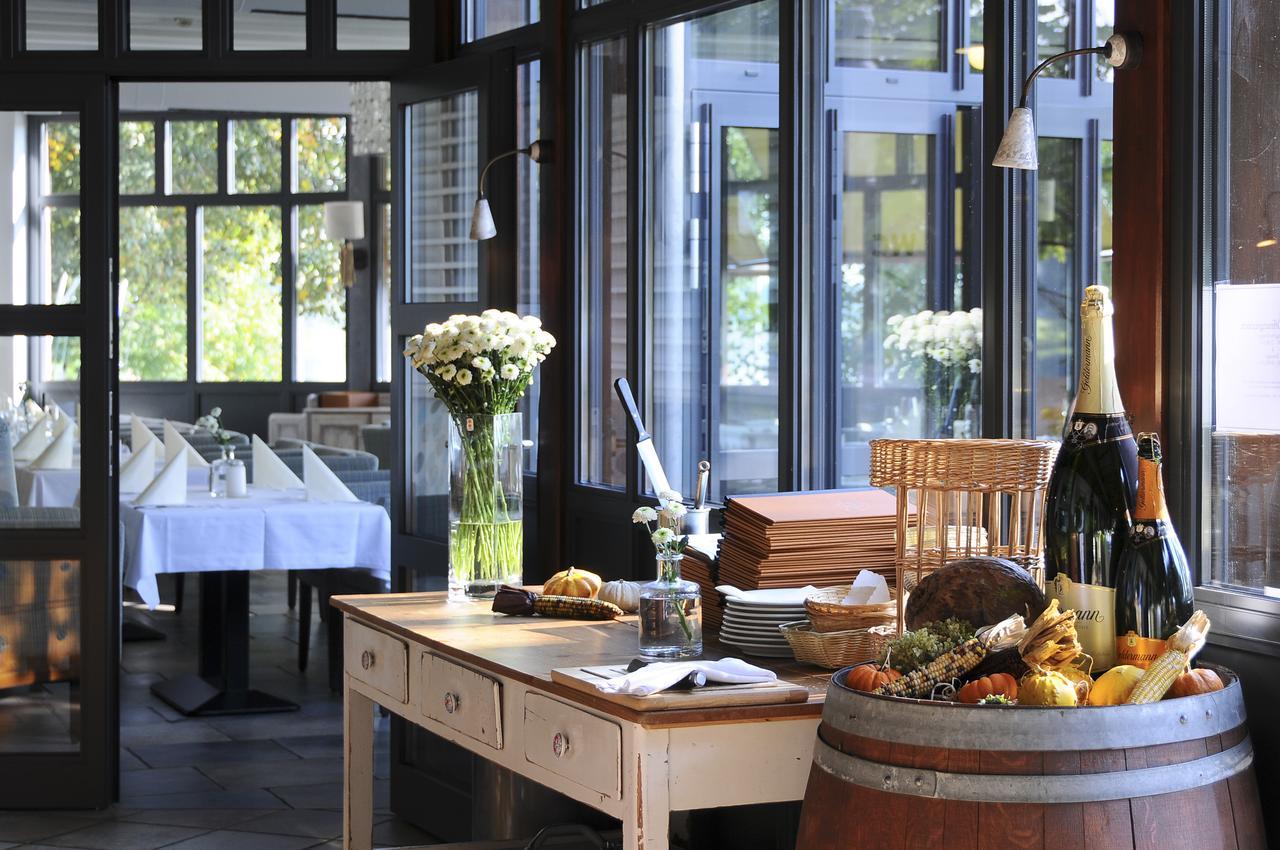 Hotel Elbterrasse Wachwitz Drezno Zewnętrze zdjęcie