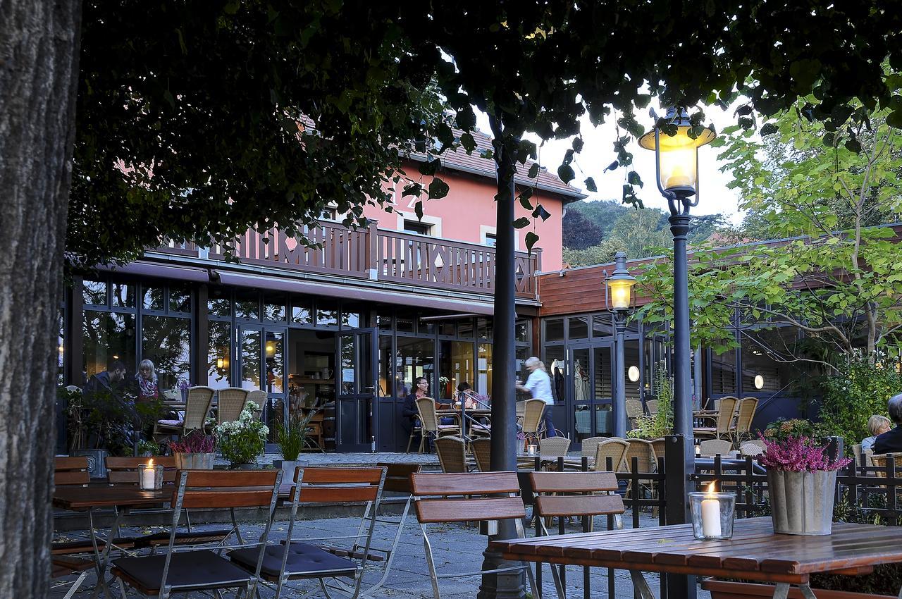 Hotel Elbterrasse Wachwitz Drezno Zewnętrze zdjęcie